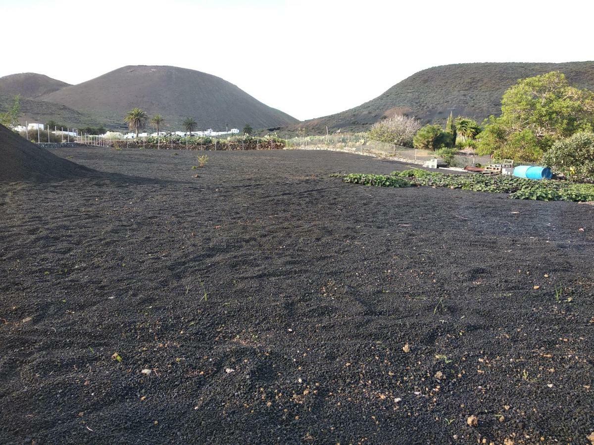 Finca La Tabaiba Máguez Kültér fotó